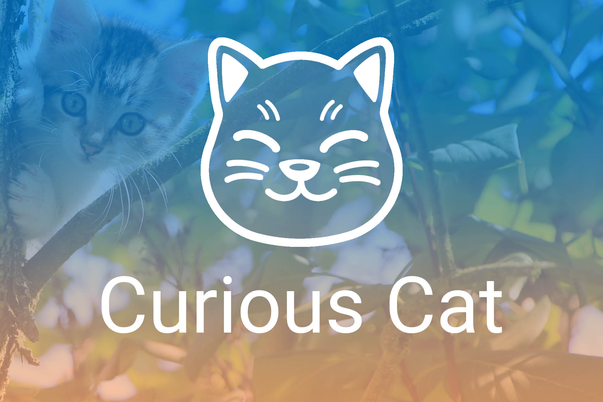 Curious Cat My Idle Income